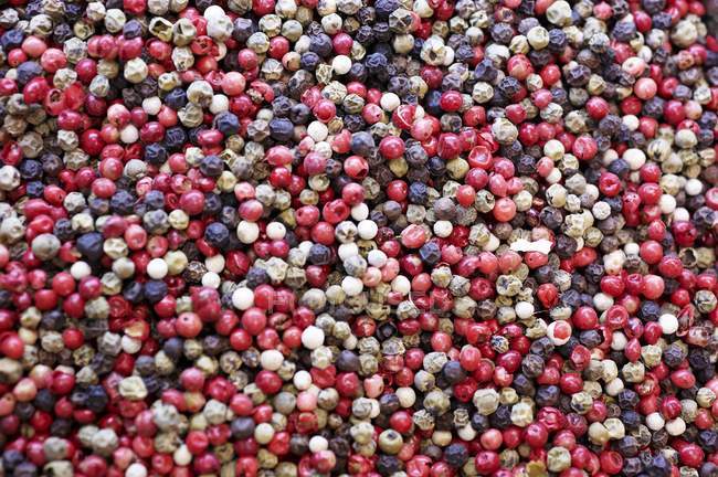 Mélange de grains de poivre multicolores — Photo de stock