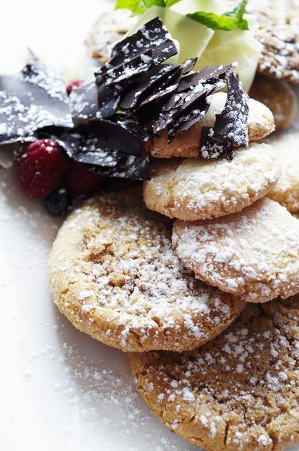 Имбирное печенье с сахарной пудрой — стоковое фото