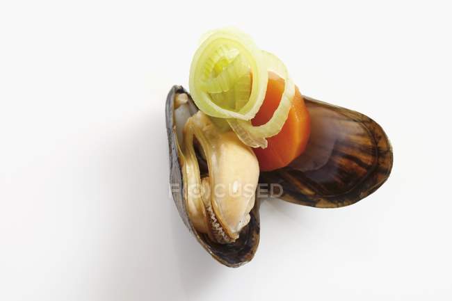 Cooked Mussel with leek and carrot — Stock Photo