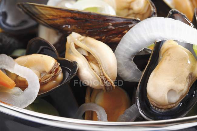 Cooked Mussels with onions — Stock Photo