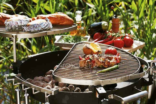 Barbecue all'aperto — Foto stock