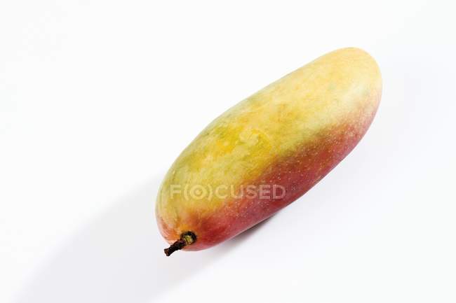 Fresh ripe mango — Stock Photo