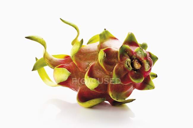 Pitahaya rose frais — Photo de stock