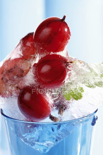 Uva spina in blocco di ghiaccio — Foto stock