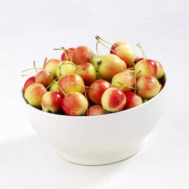 Японские крабовые яблоки Malus floribunda — стоковое фото