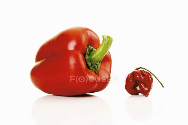 Pimienta roja y chile habanero - foto de stock