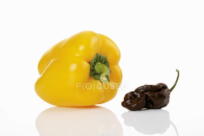 Yellow pepper and chilli — Stock Photo