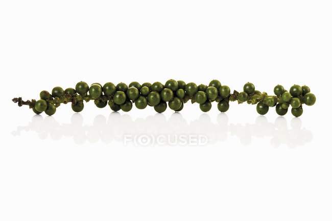Ramo di grani di pepe verde fresco su superficie bianca — Foto stock