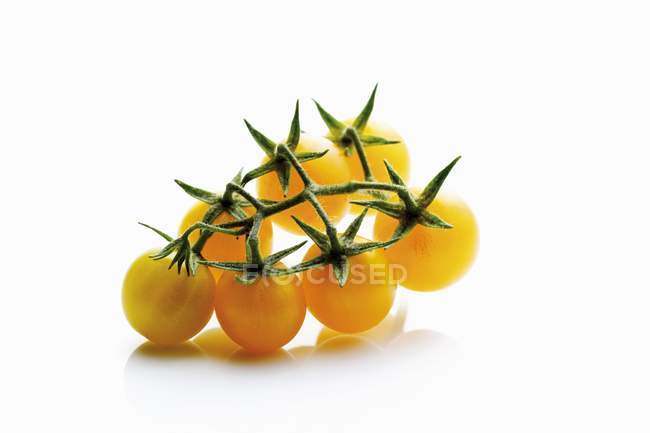 Pomodori gialli su vite — Foto stock
