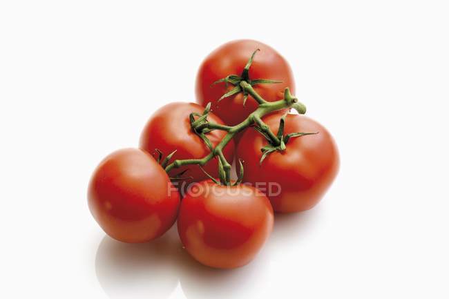 Pomodori rossi sulla vite — Foto stock