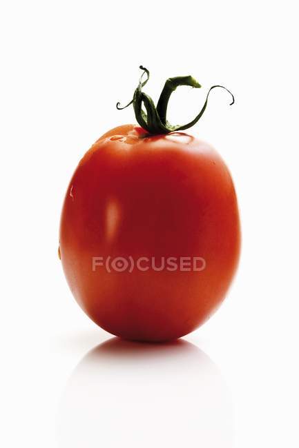 Tomate vermelho Roma — Fotografia de Stock
