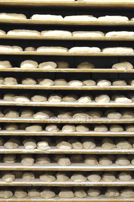 Shelves of unbaked bread — Stock Photo