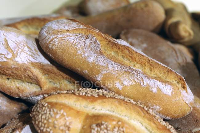 Pan Ciabatta en panadería - foto de stock