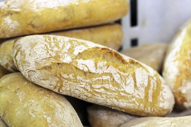 Stacked Ciabatta loaves — Stock Photo