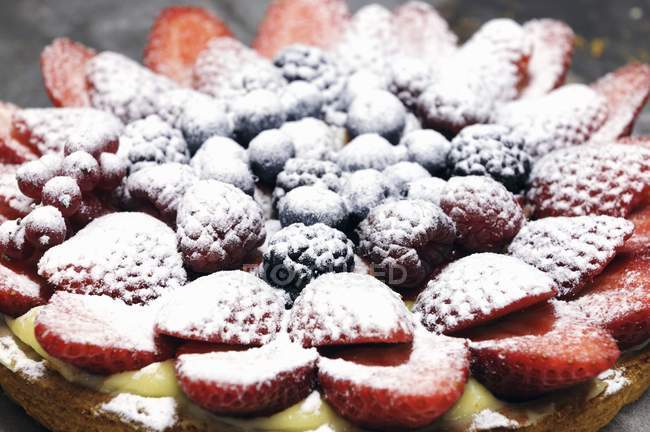 Berry tart dusted with icing sugar — Stock Photo