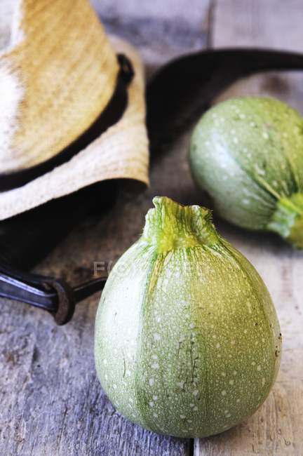 Fresh Round courgettes — Stock Photo