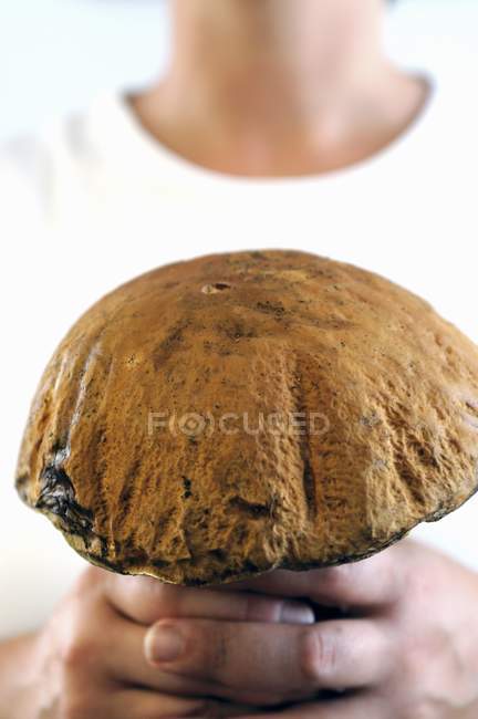 Mulher segurando grande cogumelo porcini — Fotografia de Stock