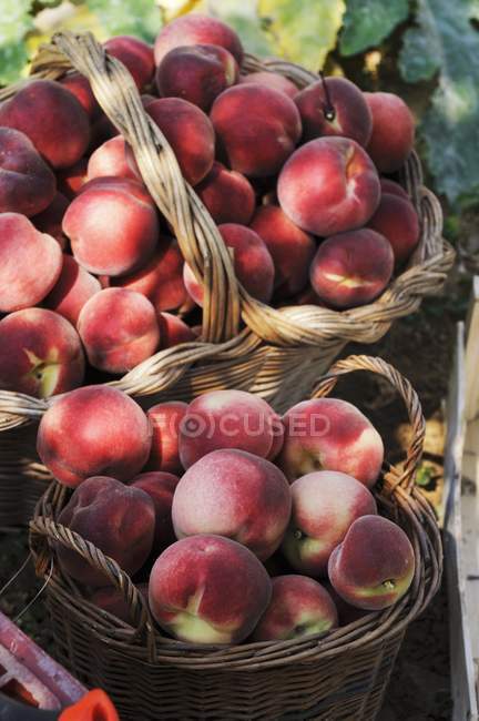 Körbe mit reifen Pfirsichen — Stockfoto