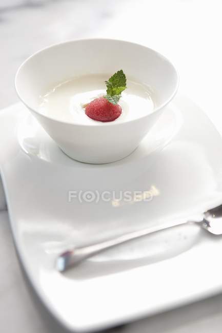 Vista de primer plano de la sopa de crema con frutas y hojas en un tazón blanco - foto de stock