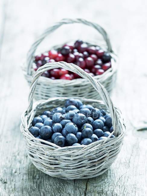 Fresh picked blueberries and cranberries — Stock Photo