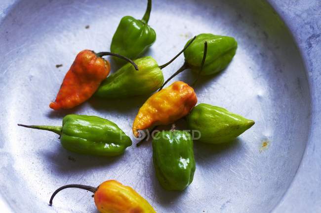 Green and yellow chilli peppers — Stock Photo