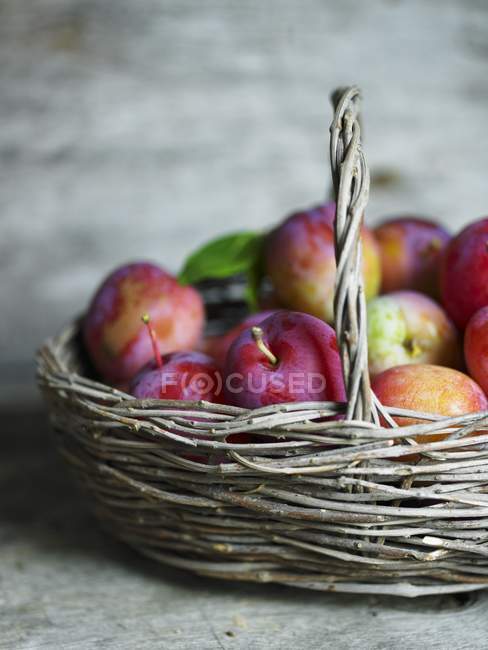 Ciruelas frescas maduras en cesta - foto de stock