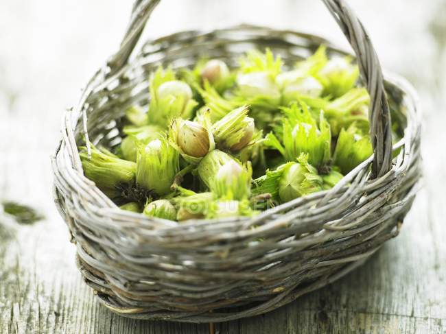 Green fresh hazelnuts — Stock Photo