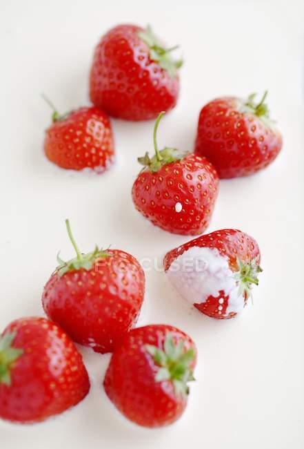 Fresh Strawberries in cream — Stock Photo