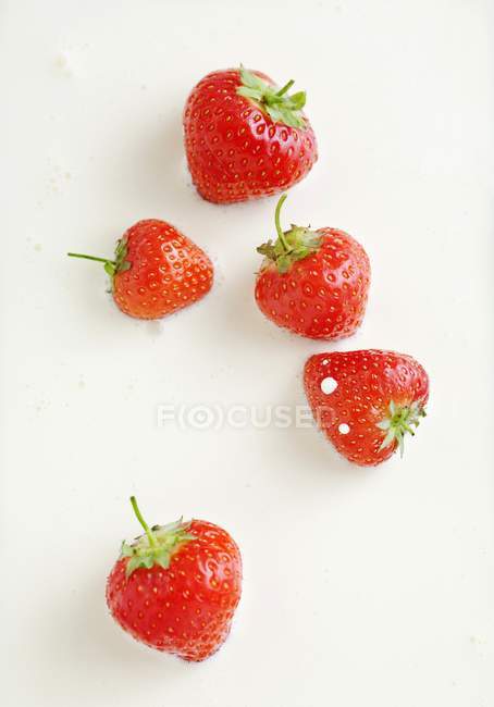 Fresh Strawberries in cream — Stock Photo