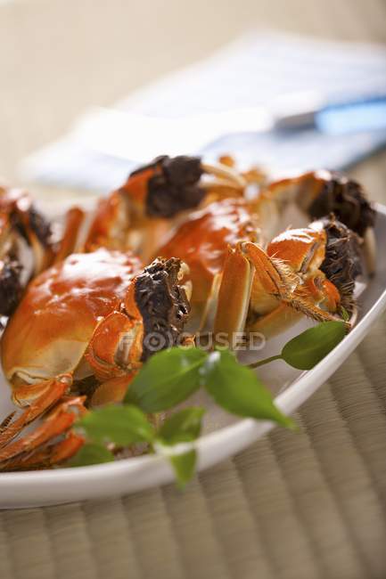 Closeup view of stuffed crabs with herbs — Stock Photo