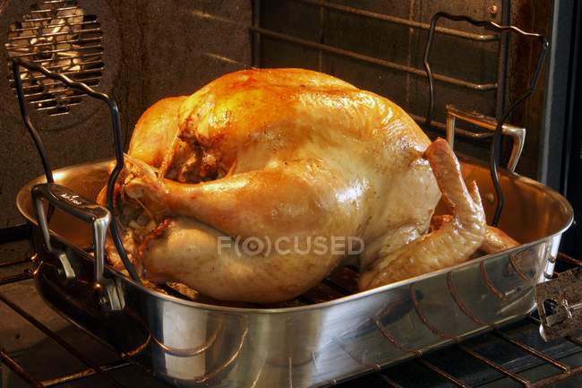 Closeup view of whole turkey in a roasting pan in the oven — Stock Photo