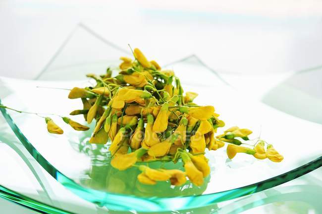 Closeup view of Thai Sesbania flowers on glass plates — Stock Photo