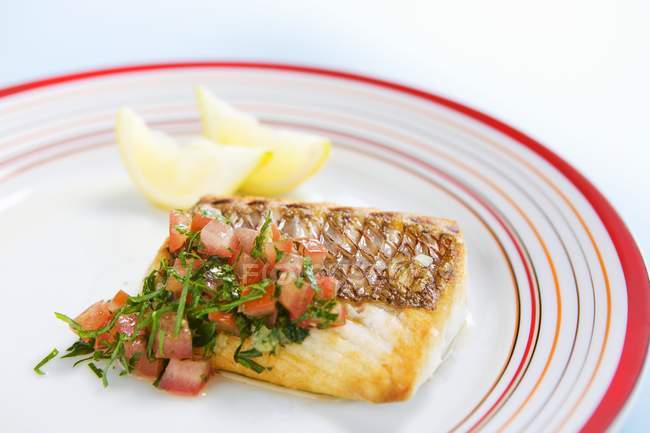 Fried snapper fillet with tomato salsa on white plate with red stripes — Stock Photo