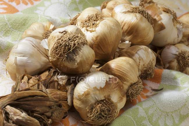 Dried Garlic Braid — Stock Photo