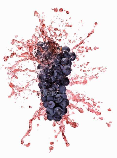 Uvas rojas con salpicaduras de jugo - foto de stock