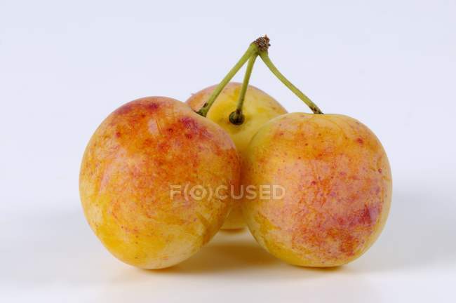 Ripe yellow plums — Stock Photo