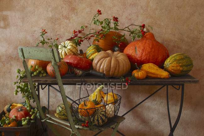 Fresh pumpkins with flowers — Stock Photo