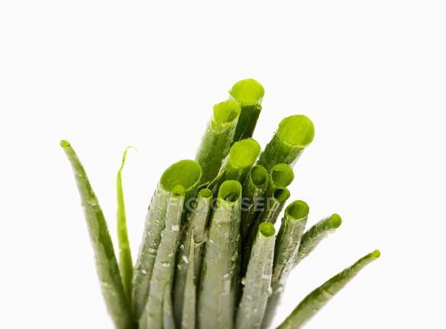 Spring onions with drops — Stock Photo