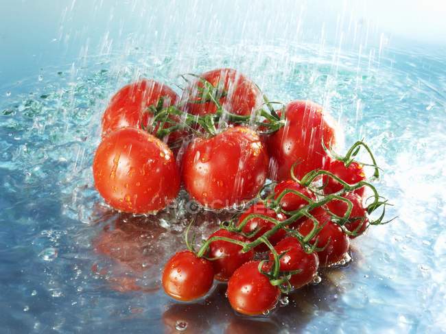 Pomodori maturi rossi — Foto stock