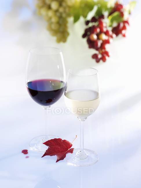 Бокал белого и красного вина — стоковое фото