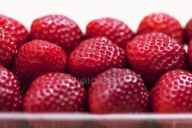 Strawberries in plastic punnet — Stock Photo