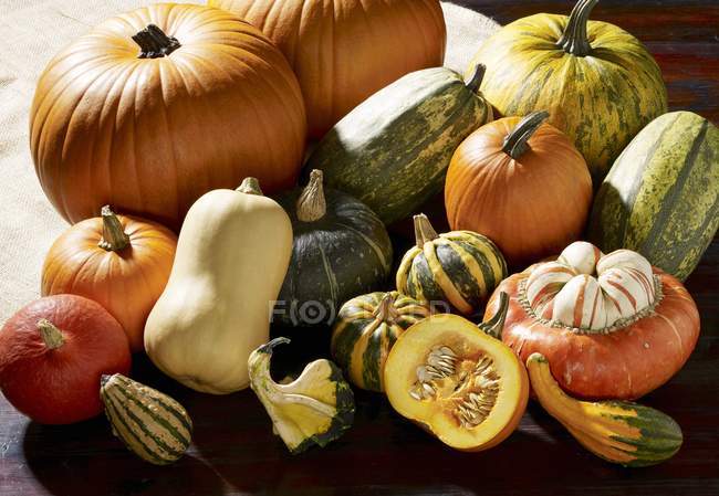 Fresh squashes and pumpkins — Stock Photo