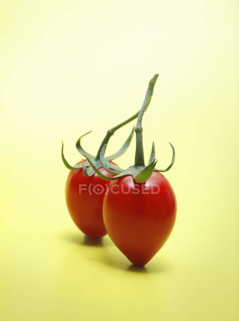 Par de tomates rojos - foto de stock