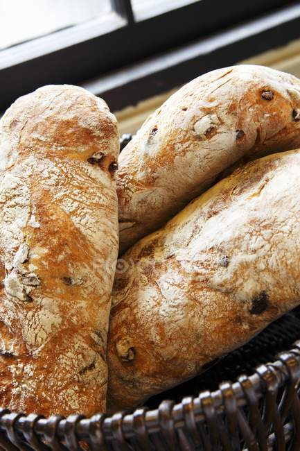 Оливкова Ciabatta хлібів — стокове фото