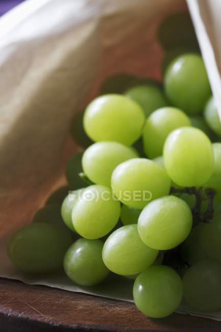 Bund grüner Trauben — Stockfoto