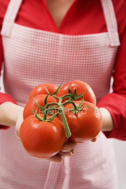 Mulher segurando tomates de videira — Fotografia de Stock