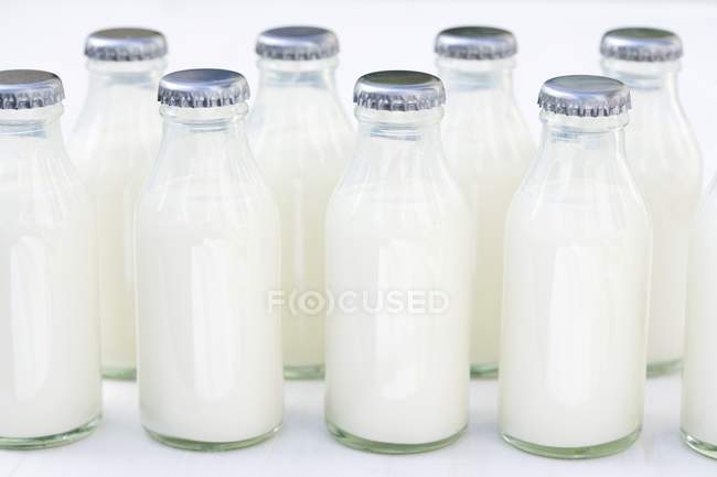 Closeup view of small glass bottles of cream in rows — Stock Photo