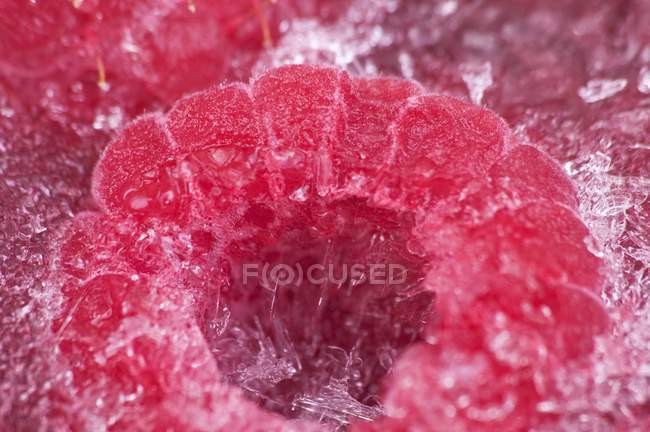 Closeup view of frozen ripe raspberry — Stock Photo