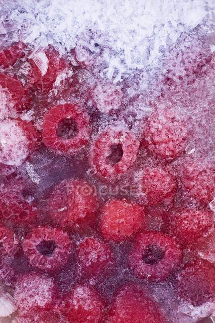 Frambuesas congeladas en bloque de hielo - foto de stock