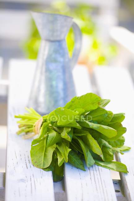 Mazzo di spinaci freschi — Foto stock